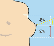 ιδανικό στήθος